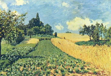 Grain Fields on the Hills of Argenteuil